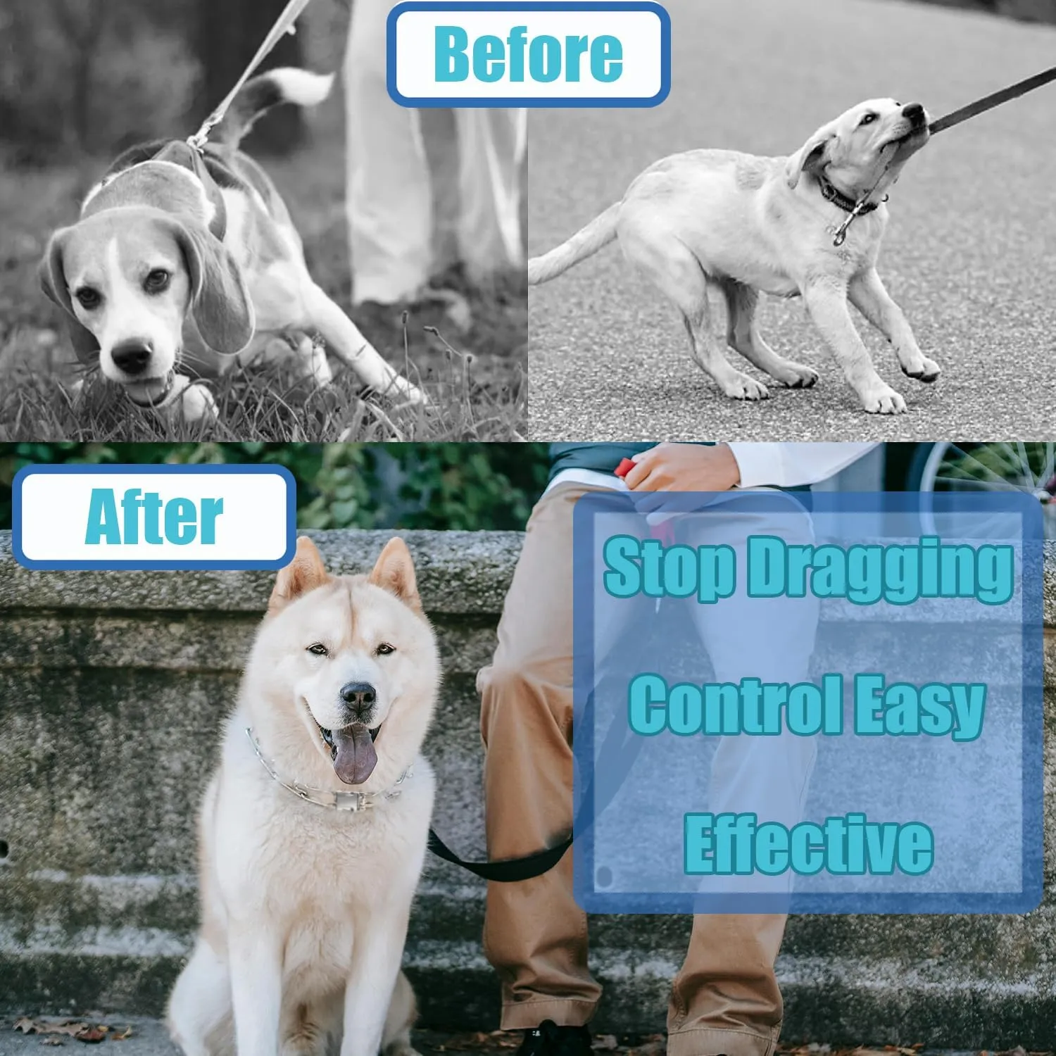 Adjustable Collar with Quick Release Buckle, for Small Medium Large Dog, Extra Link and Caps
