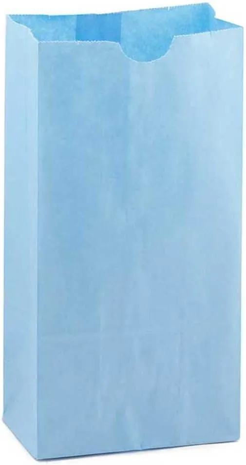 Hygloss Products Light Blue Paper Bags – For Party Favors, Arts, Crafts 3.5 x 6 x 11 Inch, 100 Pack