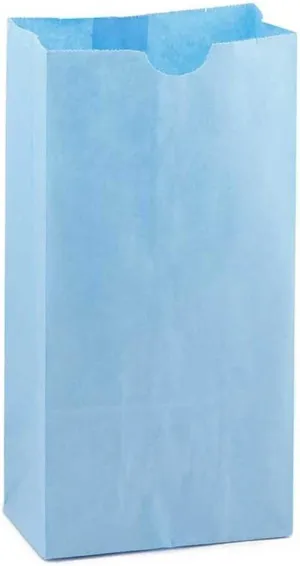 Hygloss Products Light Blue Paper Bags – For Party Favors, Arts, Crafts 3.5 x 6 x 11 Inch, 100 Pack